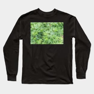 Acer palmatum oil painting effect Long Sleeve T-Shirt